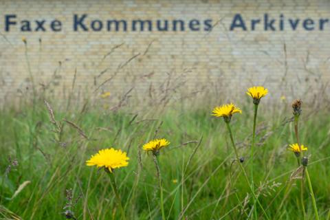 Faxe Kommunes Arkiver