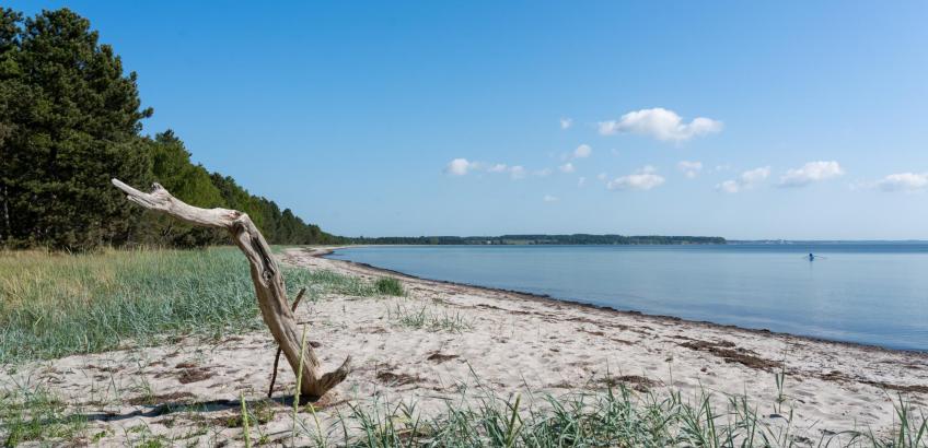 Feddet strand Feddet strand