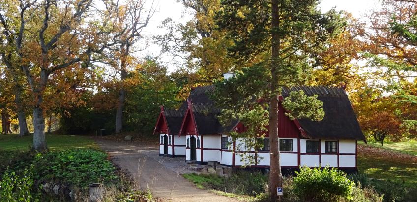 Karpefiskeri ved Gisselfeld Kloster