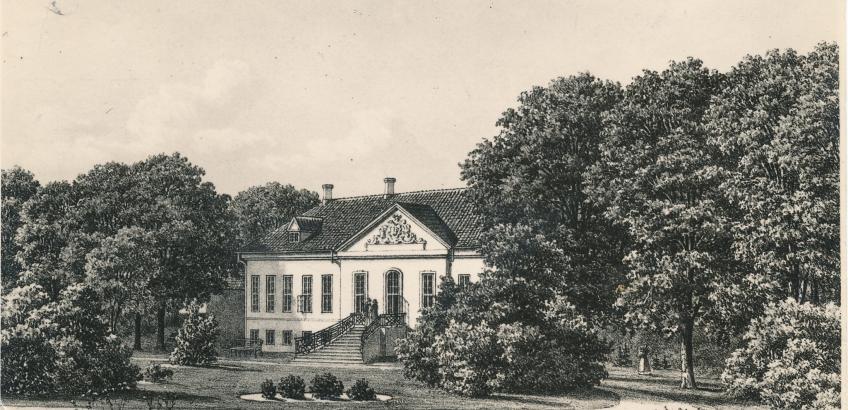 Damen uden hoved