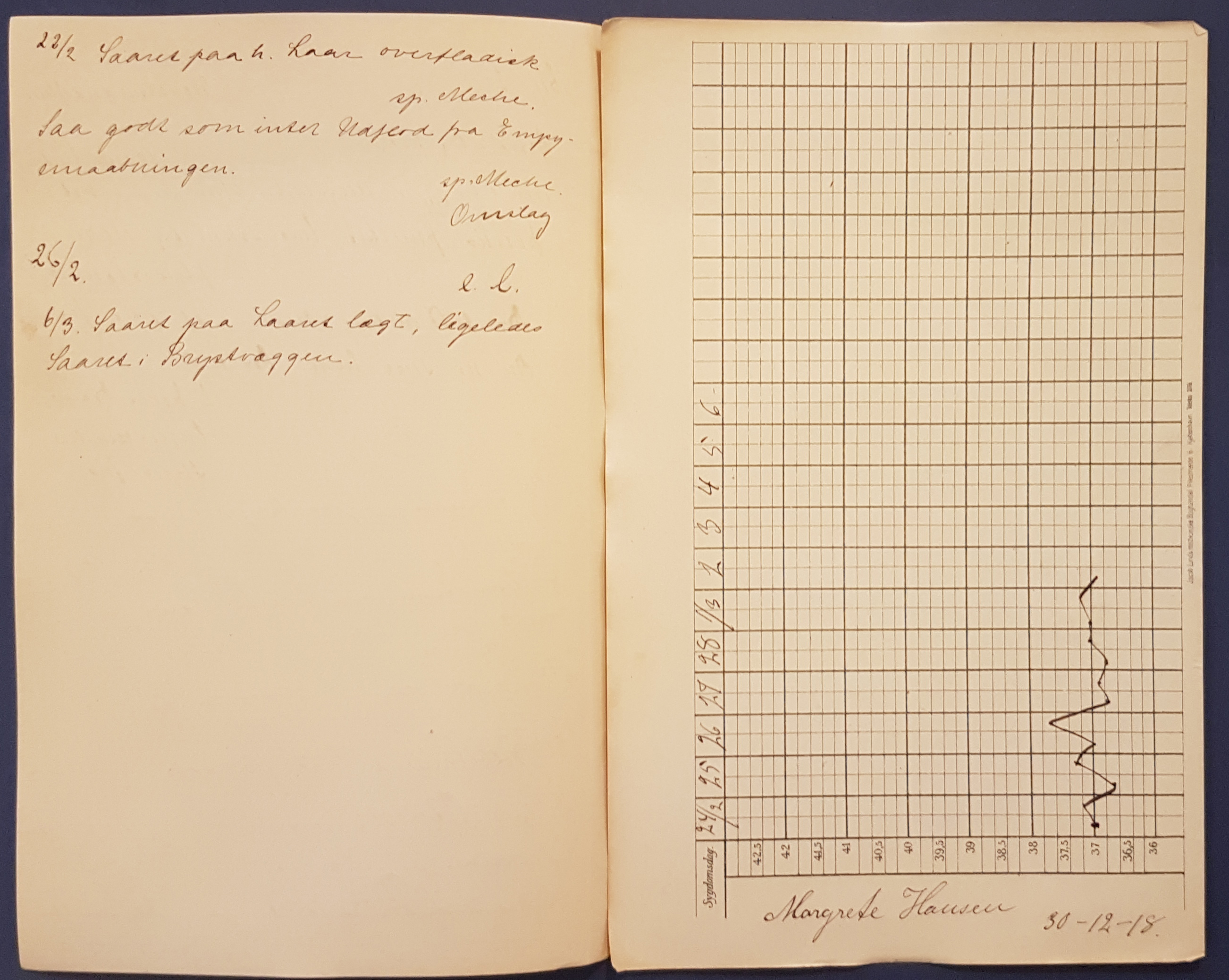 Patientjournal