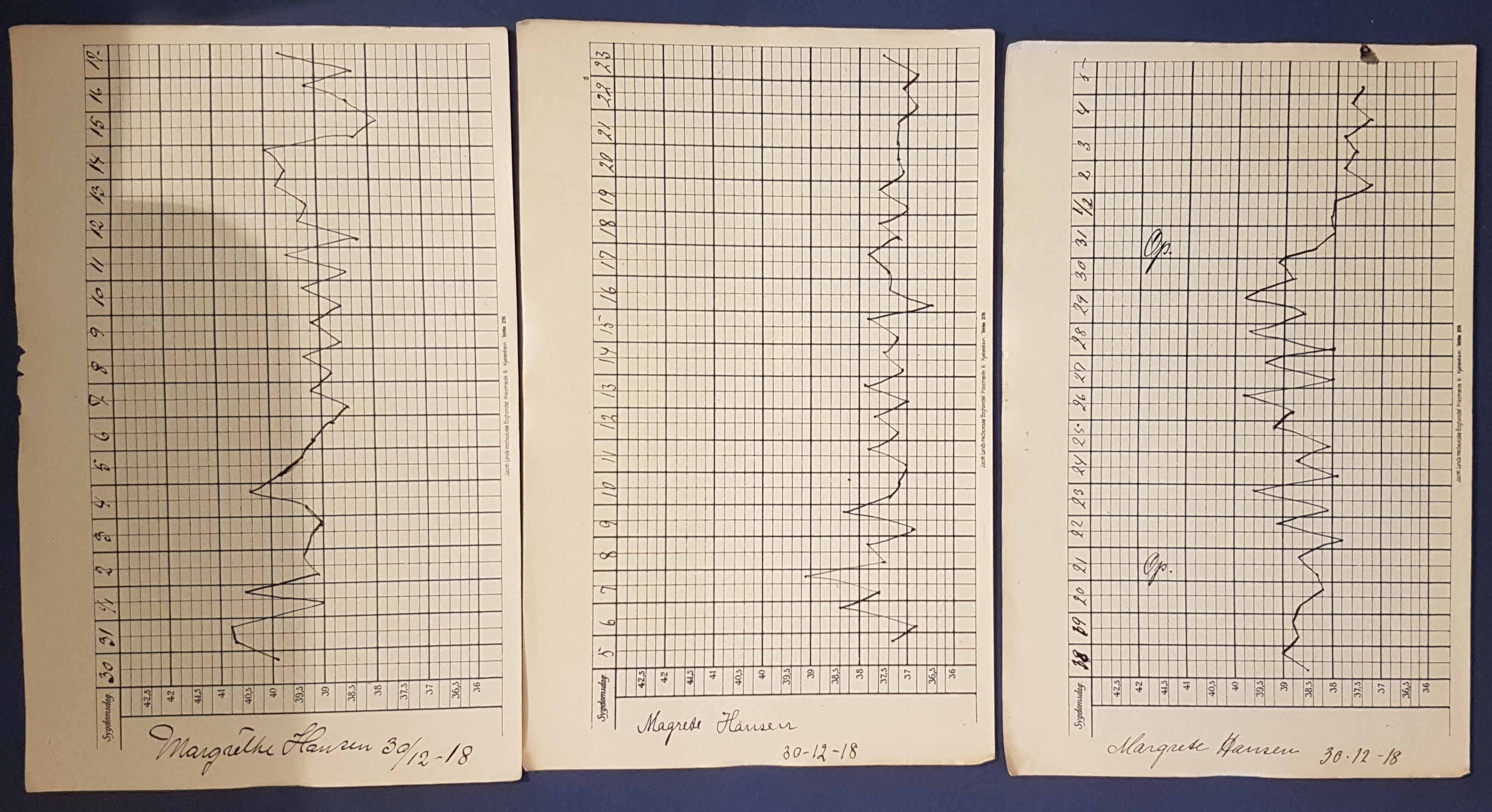 Patientjournal